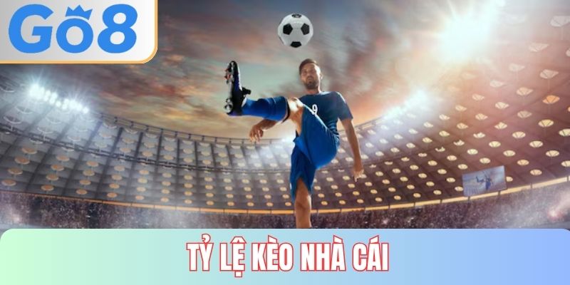 tỷ lệ kèo nhà cái GO8